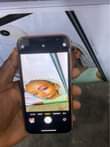 A picture of iPhone XR