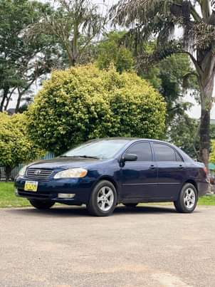 A picture of 2006 Toyota Corolla 3 7m 081 6750 3780