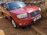 A picture of Forester