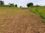 A picture of Mukono kalagi quick sale plot