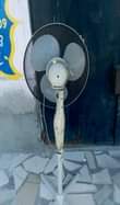 A picture of NAUZ FENI ANIKO PANGA BOI PROLITE
