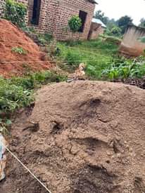 A picture of Plot for sale