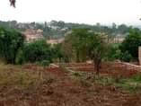A picture of Quick sale 3m plot size 50by24ft located at matugga kigogwa