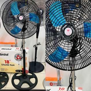 fans