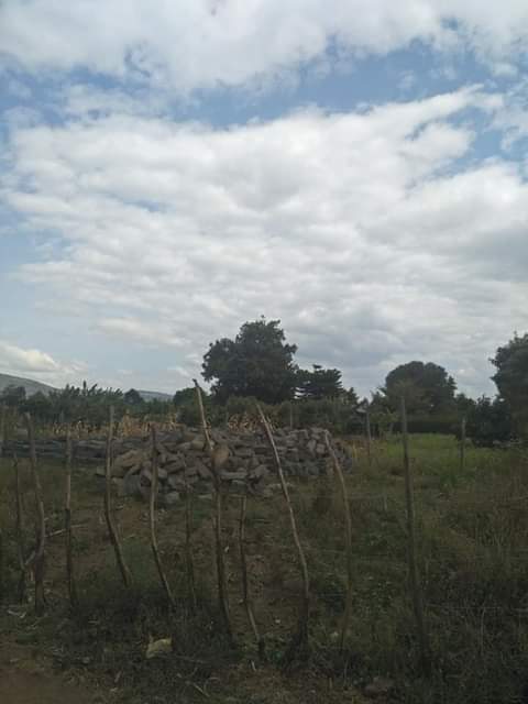 Lands &.