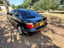 A picture of Zoki Magar Shinyanga 0715 811744