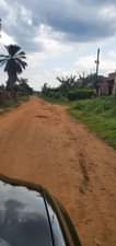 A picture of Nice lake view Acre for sale at Entebbe
