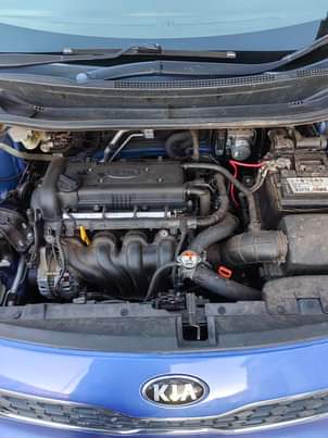 AUTO F.