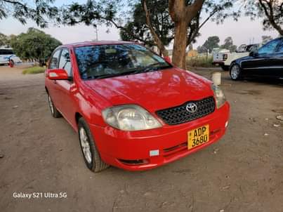 toyota corolla bubble