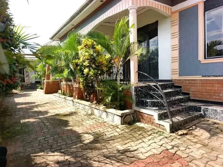 A picture of Rentals For Sale in Matuga 165m now Now 3 Units