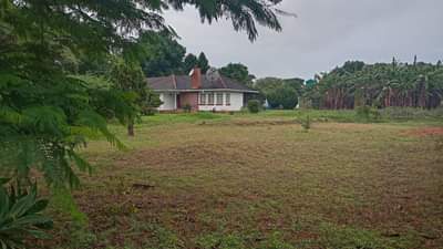 house rent