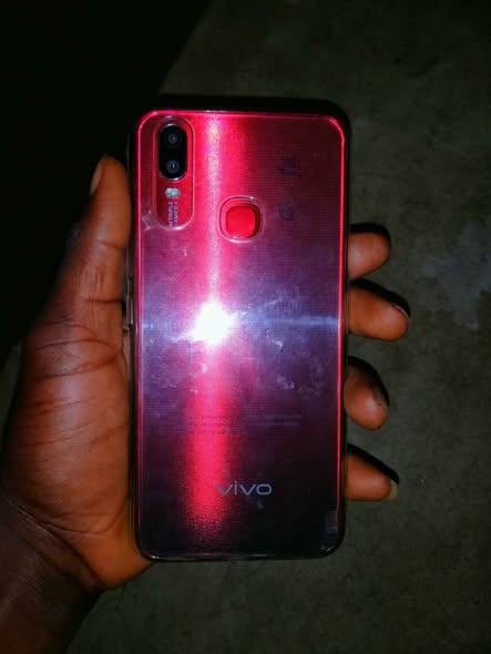 vivo