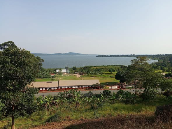 plots mukono