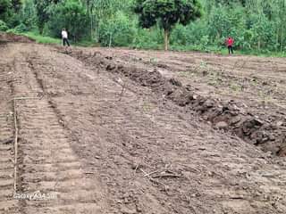 A picture of PLOTS ON FAIR PRICE 9M UGX