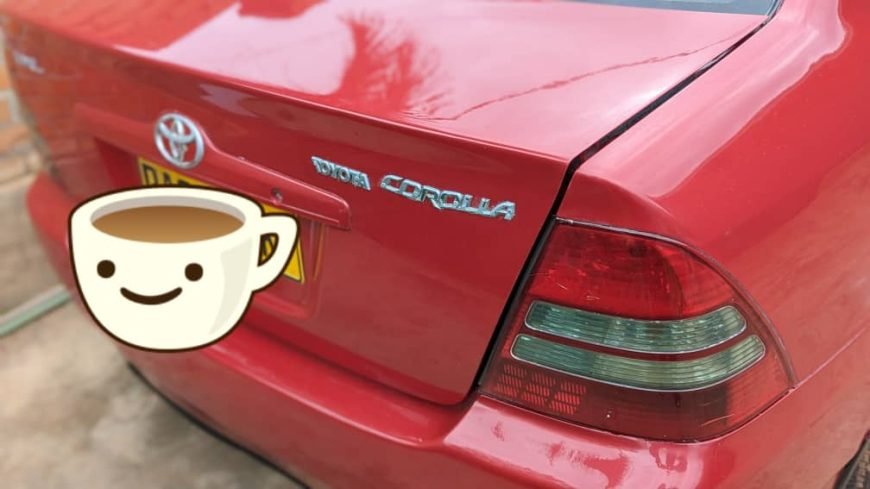 used toyota corolla