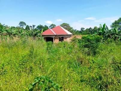 houses matugga