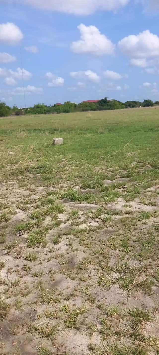 lands