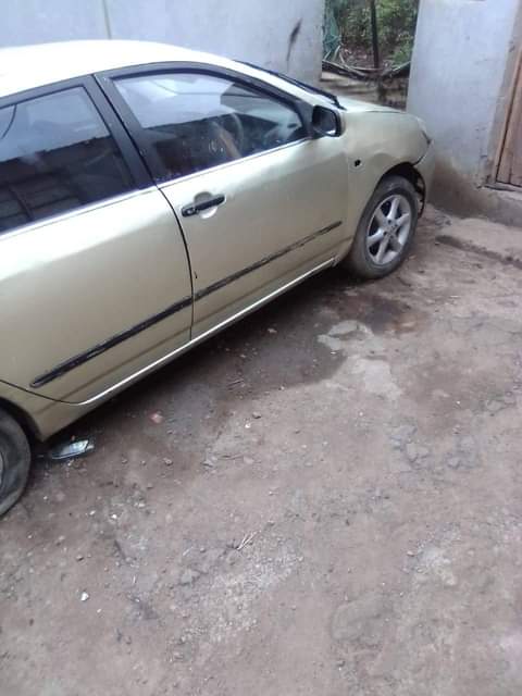 Sbonga Z.