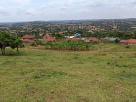 A picture of Nansana kayunga Wakiso estate 50x100ft titled