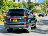A picture of Prado Tx new model