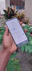 A picture of Samsung S8