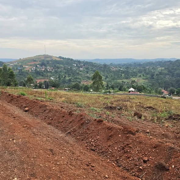 A picture of Mpigi mpambire highway Estate 35m payable in instalments 0759502757