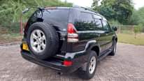 A picture of Prado