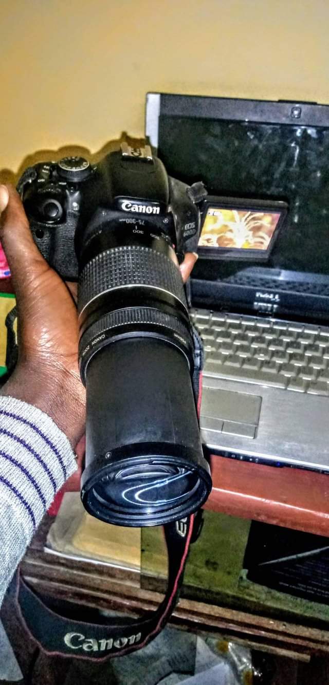 A picture of Canon 600D