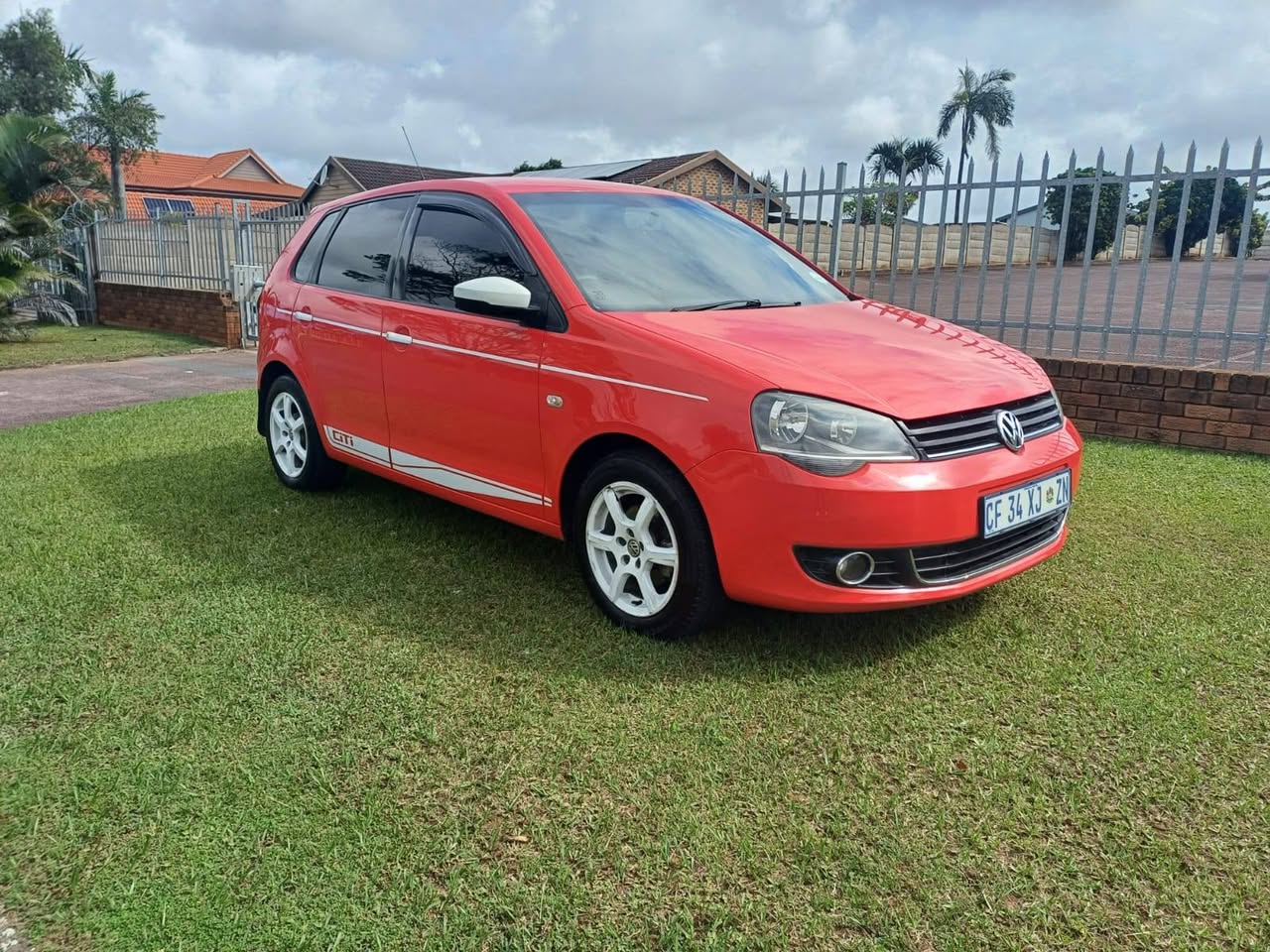 polo vivo