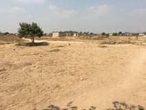 rooms to rent harare