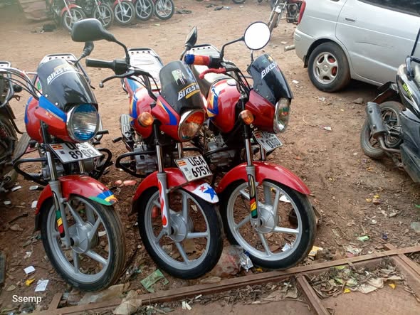 A picture of Motorcycles 1 7m