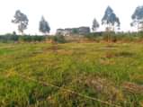 A picture of PLOTS FOR SALE STARTING FROM 2 3 MILLION UGX 50