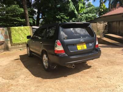 A picture of Subaru 2006