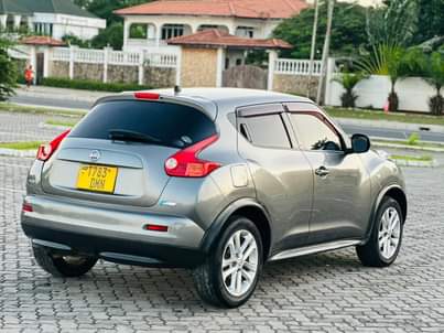 A picture of Nissan Juke