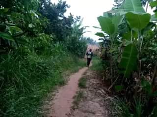 A picture of PLOT 50 100ft FOR SALE IN NAKASEKE KAPEEKA