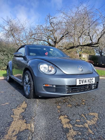 vw beetle