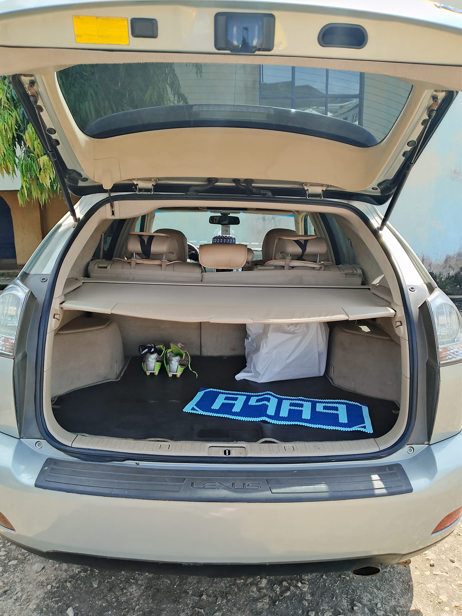 A picture of Sharp Lexus Rx 350