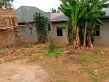 A picture of Plot for sale Price 6millions