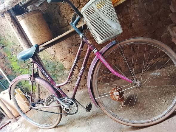 bicycle