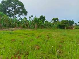A picture of 1Arce for sale located at Ntenjeru Mukono katosi road selling