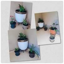 A picture of Rachels outdoor flower designs