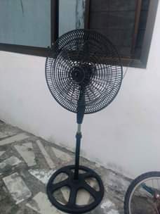 A picture of Feni