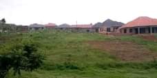A picture of Buwambo Kasangati plot on quick sale