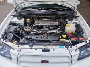 A picture of Subaru Forester