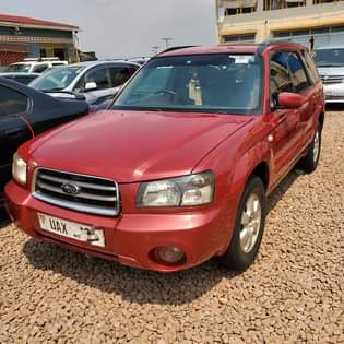 A picture of FORESTER XT 2003 14 5M