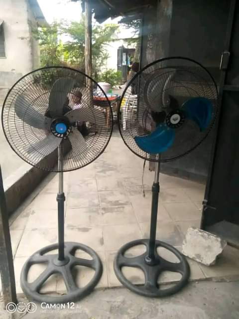 fans