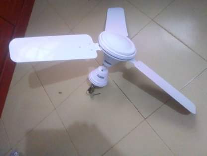 A picture of Feni nzuri