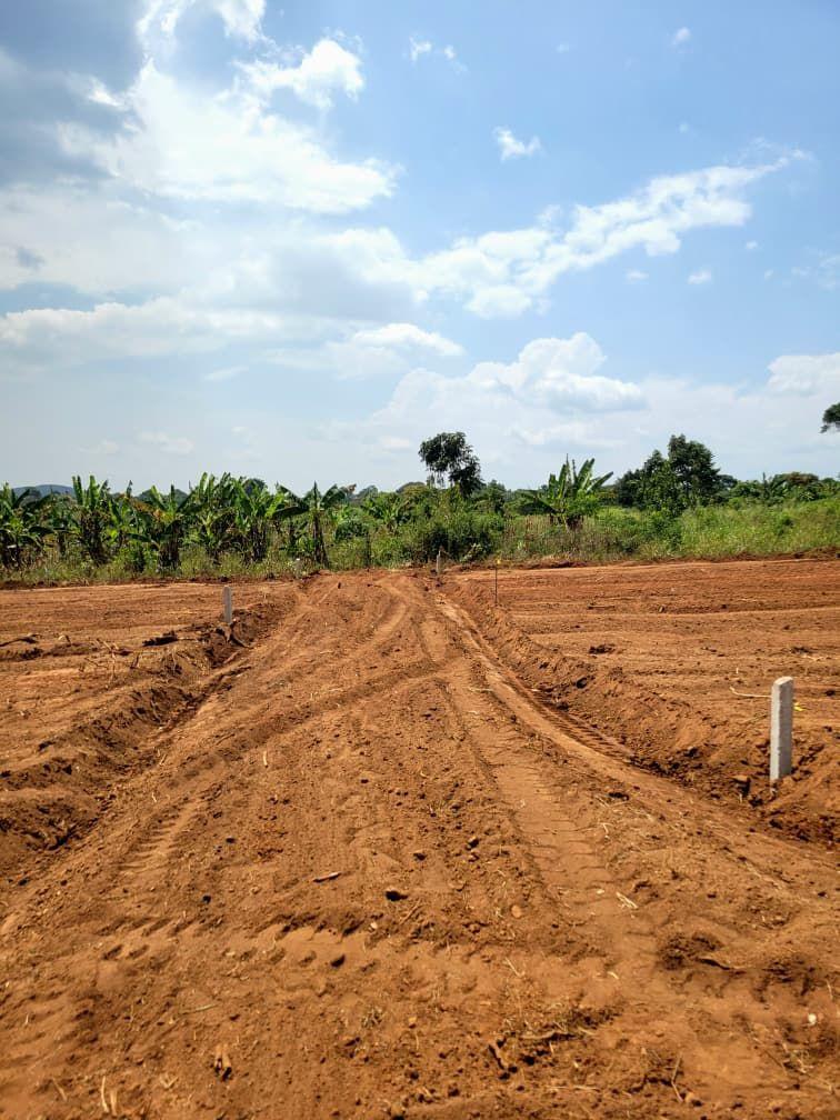 A picture of Titled plot at 7M