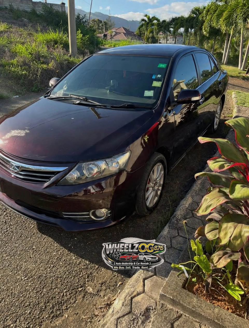 used toyota allion