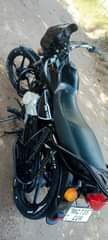 A picture of BOXER CC 150 GIA TANO 0689355953